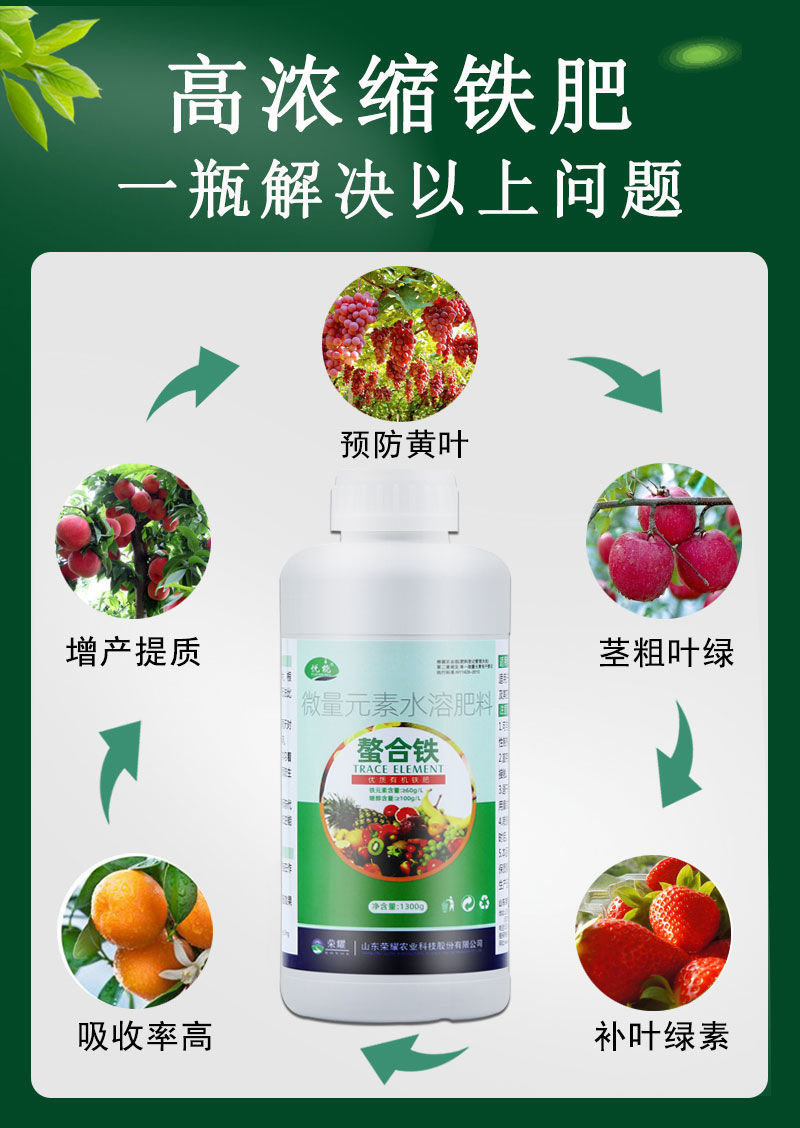 鐵肥作用全解析 防治黃葉病，一舉多得！